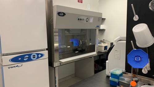 In Vitro Lab