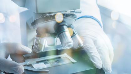 Hands using a microscope